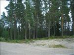 Sweden 2006-07 158